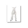Picture of Behind Lamb _GroupedProduct_Rectangle_Portrait_Mini_ _GroupedProduct_Rectangle_Portrait_Canvas_
