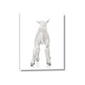 Picture of Behind Lamb _GroupedProduct_Rectangle_Portrait_Mini_ _GroupedProduct_Rectangle_Portrait_Canvas_