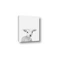 Picture of Farmhouse Sheep _GroupedProduct_Rectangle_Portrait_Mini_ _GroupedProduct_Rectangle_Portrait_Canvas_