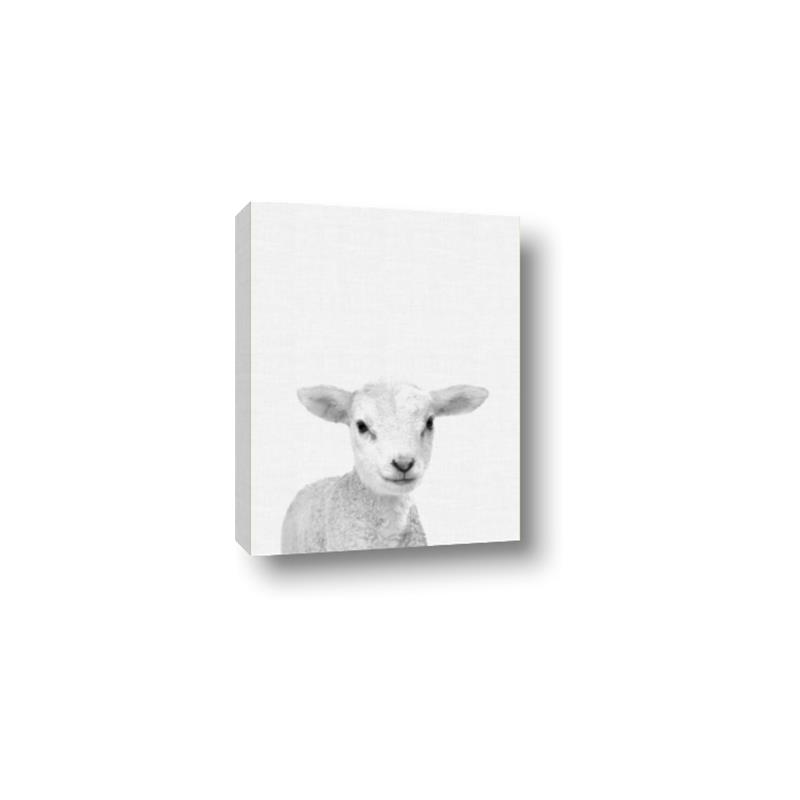 Picture of Farmhouse Sheep _GroupedProduct_Rectangle_Portrait_Mini_ _GroupedProduct_Rectangle_Portrait_Canvas_