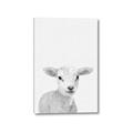 Picture of Farmhouse Sheep _GroupedProduct_Rectangle_Portrait_Mini_ _GroupedProduct_Rectangle_Portrait_Canvas_