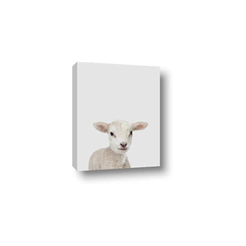 Picture of Baby Lamb _GroupedProduct_Rectangle_Portrait_Mini_ _GroupedProduct_Rectangle_Portrait_Canvas_