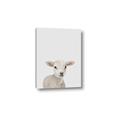 Picture of Baby Lamb _GroupedProduct_Rectangle_Portrait_Mini_ _GroupedProduct_Rectangle_Portrait_Canvas_