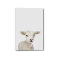 Picture of Baby Lamb _GroupedProduct_Rectangle_Portrait_Mini_ _GroupedProduct_Rectangle_Portrait_Canvas_