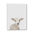 Picture of Baby Lamb _GroupedProduct_Rectangle_Portrait_Mini_ _GroupedProduct_Rectangle_Portrait_Canvas_