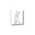 Picture of In Front Lamb _GroupedProduct_Rectangle_Portrait_Mini_ _GroupedProduct_Rectangle_Portrait_Canvas_