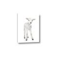 Picture of In Front Lamb _GroupedProduct_Rectangle_Portrait_Mini_ _GroupedProduct_Rectangle_Portrait_Canvas_