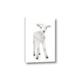 Picture of In Front Lamb _GroupedProduct_Rectangle_Portrait_Mini_ _GroupedProduct_Rectangle_Portrait_Canvas_
