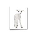 Picture of In Front Lamb _GroupedProduct_Rectangle_Portrait_Mini_ _GroupedProduct_Rectangle_Portrait_Canvas_