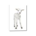 Picture of In Front Lamb _GroupedProduct_Rectangle_Portrait_Mini_ _GroupedProduct_Rectangle_Portrait_Canvas_