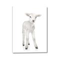 Picture of In Front Lamb _GroupedProduct_Rectangle_Portrait_Mini_ _GroupedProduct_Rectangle_Portrait_Canvas_