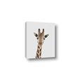 Picture of Baby Giraffe _GroupedProduct_Rectangle_Portrait_Mini_ _GroupedProduct_Rectangle_Portrait_Canvas_