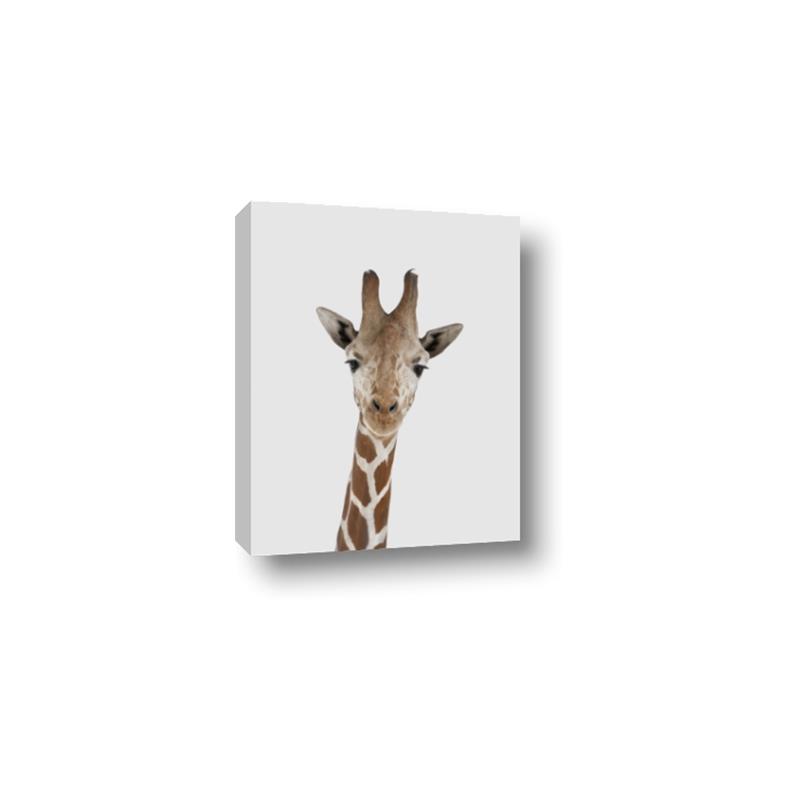 Picture of Baby Giraffe _GroupedProduct_Rectangle_Portrait_Mini_ _GroupedProduct_Rectangle_Portrait_Canvas_