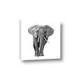 Picture of Elephant Black and White _GroupedProduct_Square_Mini_ _GroupedProduct_Square_Canvas_