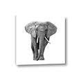 Picture of Elephant Black and White _GroupedProduct_Square_Mini_ _GroupedProduct_Square_Canvas_