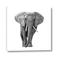 Picture of Elephant Black and White _GroupedProduct_Square_Mini_ _GroupedProduct_Square_Canvas_