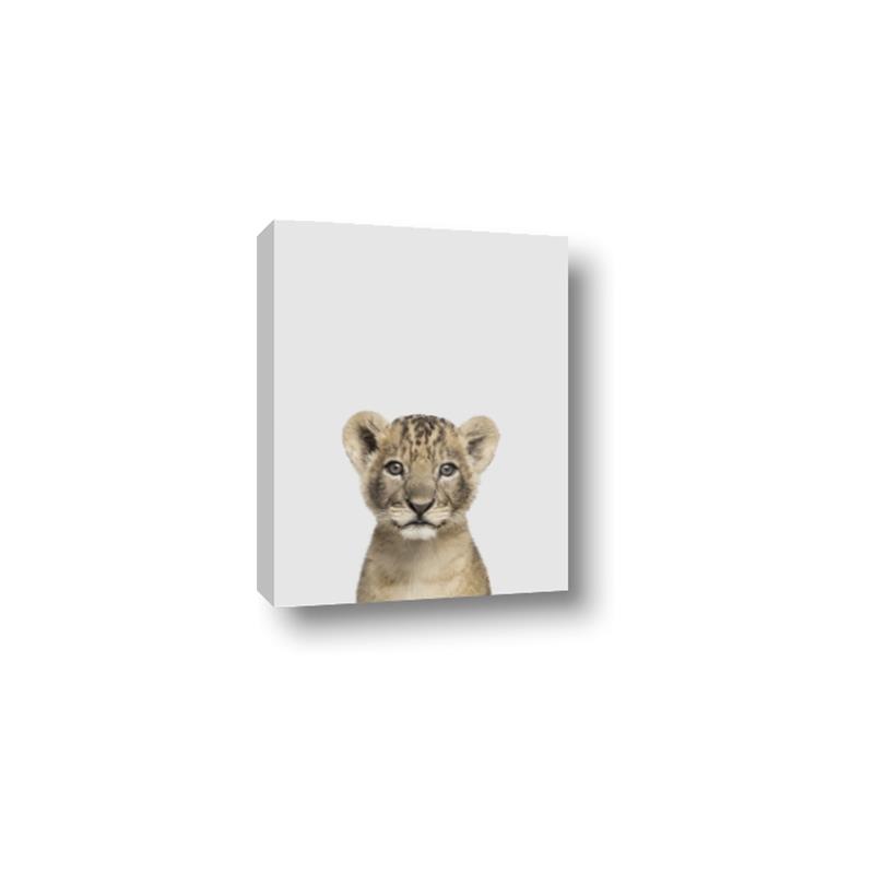 Picture of Baby Lion _GroupedProduct_Rectangle_Portrait_Mini_ _GroupedProduct_Rectangle_Portrait_Canvas_