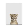 Picture of Baby Lion _GroupedProduct_Rectangle_Portrait_Mini_ _GroupedProduct_Rectangle_Portrait_Canvas_