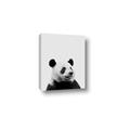 Picture of Panda Portrait _GroupedProduct_Rectangle_Portrait_Mini_ _GroupedProduct_Rectangle_Portrait_Canvas_