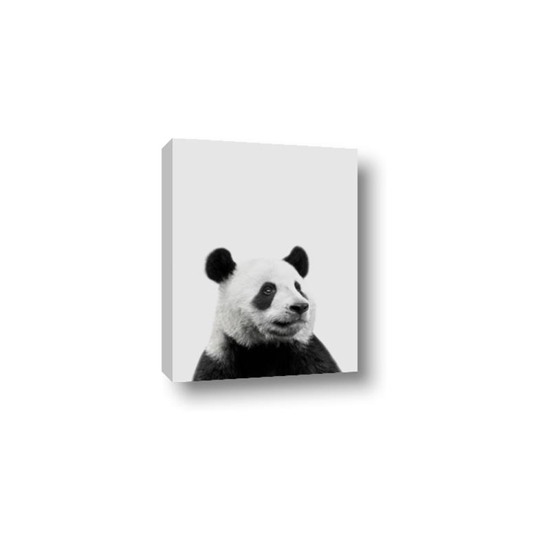Picture of Panda Portrait _GroupedProduct_Rectangle_Portrait_Mini_ _GroupedProduct_Rectangle_Portrait_Canvas_
