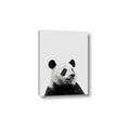 Picture of Panda Portrait _GroupedProduct_Rectangle_Portrait_Mini_ _GroupedProduct_Rectangle_Portrait_Canvas_