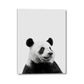Picture of Panda Portrait _GroupedProduct_Rectangle_Portrait_Mini_ _GroupedProduct_Rectangle_Portrait_Canvas_