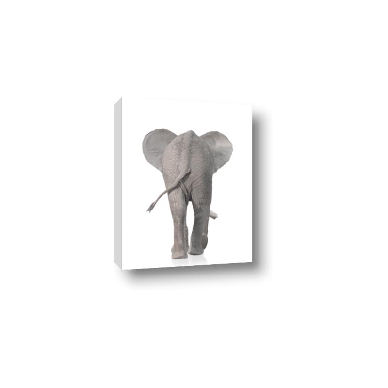 Picture of Behind Elephant _GroupedProduct_Rectangle_Portrait_Mini_ _GroupedProduct_Rectangle_Portrait_Canvas_