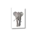 Picture of Behind Elephant _GroupedProduct_Rectangle_Portrait_Mini_ _GroupedProduct_Rectangle_Portrait_Canvas_