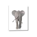 Picture of Behind Elephant _GroupedProduct_Rectangle_Portrait_Mini_ _GroupedProduct_Rectangle_Portrait_Canvas_
