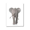 Picture of Behind Elephant _GroupedProduct_Rectangle_Portrait_Mini_ _GroupedProduct_Rectangle_Portrait_Canvas_