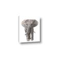 Picture of In Front Elephant _GroupedProduct_Rectangle_Portrait_Mini_ _GroupedProduct_Rectangle_Portrait_Canvas_