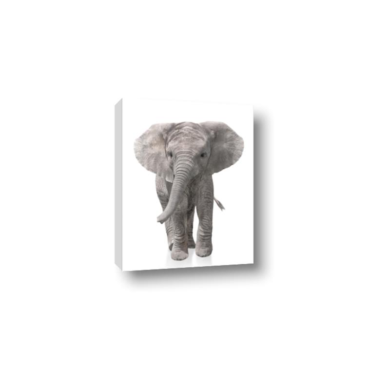 Picture of In Front Elephant _GroupedProduct_Rectangle_Portrait_Mini_ _GroupedProduct_Rectangle_Portrait_Canvas_