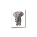 Picture of In Front Elephant _GroupedProduct_Rectangle_Portrait_Mini_ _GroupedProduct_Rectangle_Portrait_Canvas_
