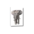 Picture of In Front Elephant _GroupedProduct_Rectangle_Portrait_Mini_ _GroupedProduct_Rectangle_Portrait_Canvas_