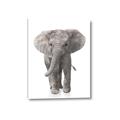Picture of In Front Elephant _GroupedProduct_Rectangle_Portrait_Mini_ _GroupedProduct_Rectangle_Portrait_Canvas_