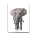 Picture of In Front Elephant _GroupedProduct_Rectangle_Portrait_Mini_ _GroupedProduct_Rectangle_Portrait_Canvas_