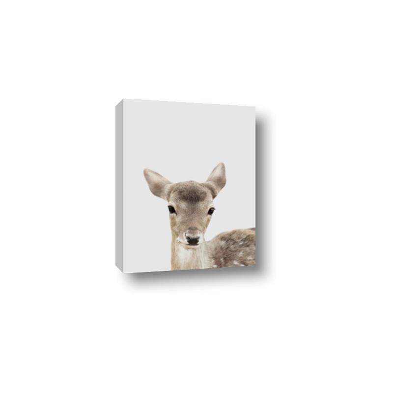Picture of Deer   _GroupedProduct_Rectangle_Portrait_Mini_ _GroupedProduct_Rectangle_Portrait_Canvas_