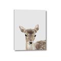 Picture of Deer   _GroupedProduct_Rectangle_Portrait_Mini_ _GroupedProduct_Rectangle_Portrait_Canvas_