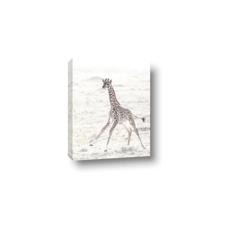 Picture of Summer Giraffe _GroupedProduct_Rectangle_Portrait_Mini_ _GroupedProduct_Rectangle_Portrait_Canvas_