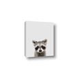 Picture of Peekaboo Raccoon _GroupedProduct_Rectangle_Portrait_Mini_ _GroupedProduct_Rectangle_Portrait_Canvas_
