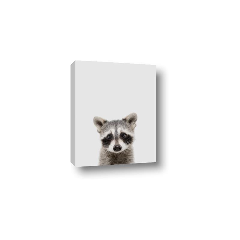 Picture of Peekaboo Raccoon _GroupedProduct_Rectangle_Portrait_Mini_ _GroupedProduct_Rectangle_Portrait_Canvas_