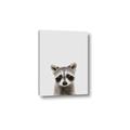 Picture of Peekaboo Raccoon _GroupedProduct_Rectangle_Portrait_Mini_ _GroupedProduct_Rectangle_Portrait_Canvas_
