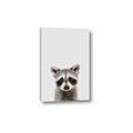 Picture of Peekaboo Raccoon _GroupedProduct_Rectangle_Portrait_Mini_ _GroupedProduct_Rectangle_Portrait_Canvas_