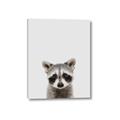 Picture of Peekaboo Raccoon _GroupedProduct_Rectangle_Portrait_Mini_ _GroupedProduct_Rectangle_Portrait_Canvas_