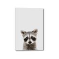 Picture of Peekaboo Raccoon _GroupedProduct_Rectangle_Portrait_Mini_ _GroupedProduct_Rectangle_Portrait_Canvas_