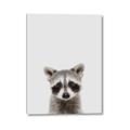 Picture of Peekaboo Raccoon _GroupedProduct_Rectangle_Portrait_Mini_ _GroupedProduct_Rectangle_Portrait_Canvas_