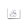 Picture of Polar Bear Mom and Baby _GroupedProduct_Rectangle_Landscape_Mini_ _GroupedProduct_Rectangle_Landscape_Canvas_