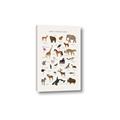 Picture of Animal Alphabet _GroupedProduct_Rectangle_Portrait_Canvas_