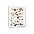 Picture of Animal Alphabet _GroupedProduct_Rectangle_Portrait_Canvas_