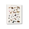 Picture of Animal Alphabet _GroupedProduct_Rectangle_Portrait_Canvas_